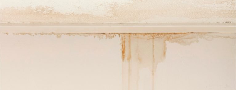 Water Ingress - Strata Insights