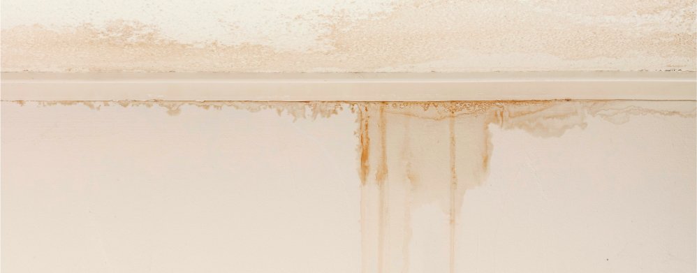 Water Ingress - Strata Insights